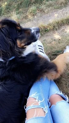 Sitter Profile Image: June 