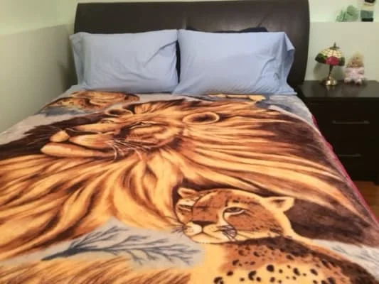 Owner Image