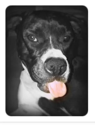Sitter Profile Image: Thena 