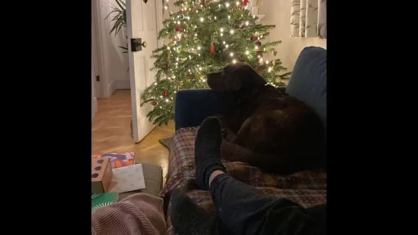 Sitter Profile Image: Guin 
