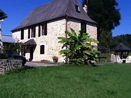 Owner Image