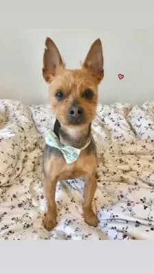 Sitter Profile Image: Hyunji 