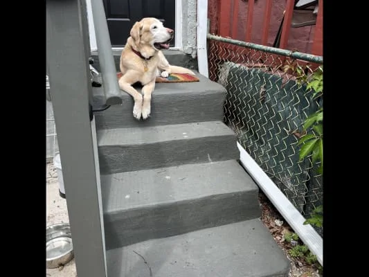 Sitter Profile Image: Chelsea 