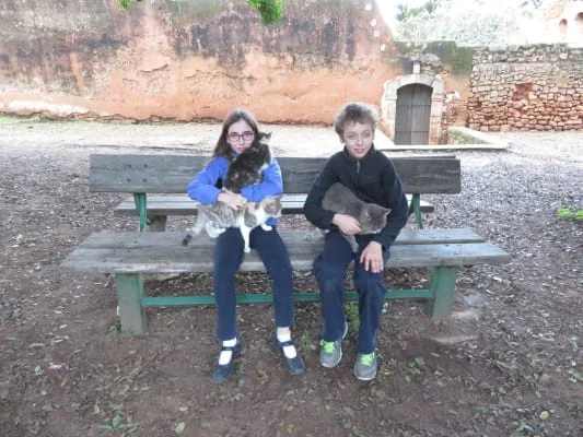 Sitter Profile Image: Jennifer & Andr 