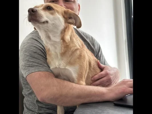Sitter Profile Image: Gergely & Timi 