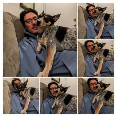 Owner Image