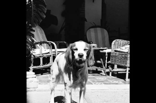 Sitter Profile Image: Mar & Diego 