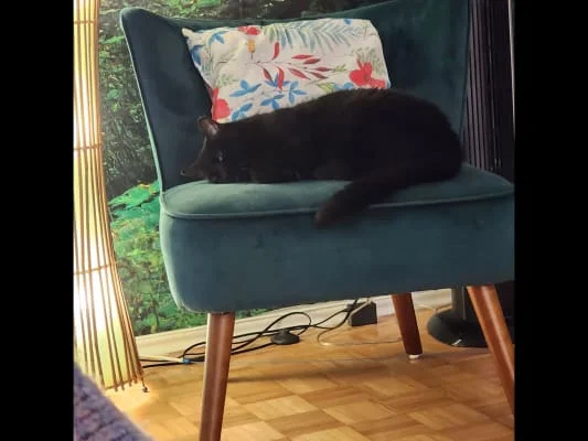 Sitter Profile Image: Joy 