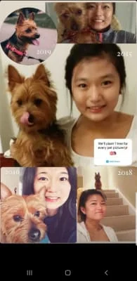 Sitter Profile Image: Hyunji 