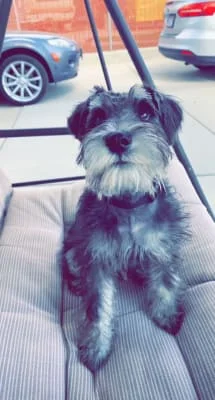 Sitter Profile Image: Billie 