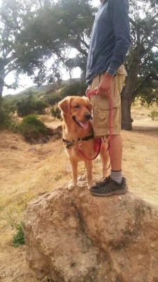 Sitter Profile Image: Lendrick 