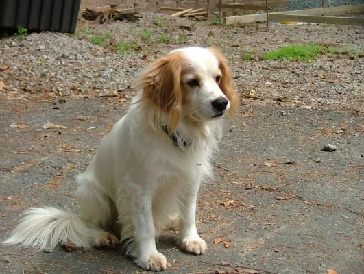 Sitter Profile Image: Josephine 