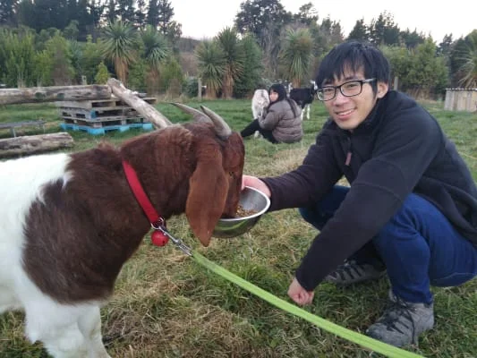 Sitter Profile Image: Hao & Yujun 