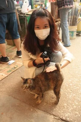 Sitter Profile Image: Tsoi Ying 