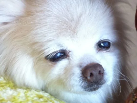 Sitter Profile Image: yoonju 