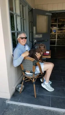 Owner Image