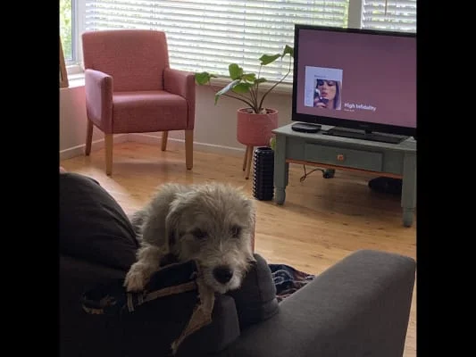 Sitter Profile Image: ebony 
