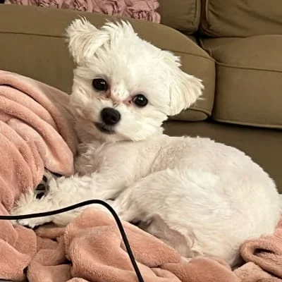 Sitter Profile Image: Kitti 
