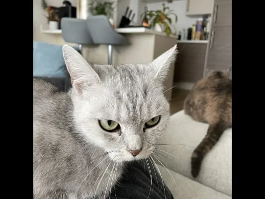 Sitter Profile Image: Ruby 