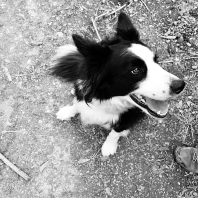 Sitter Profile Image: Lennie 