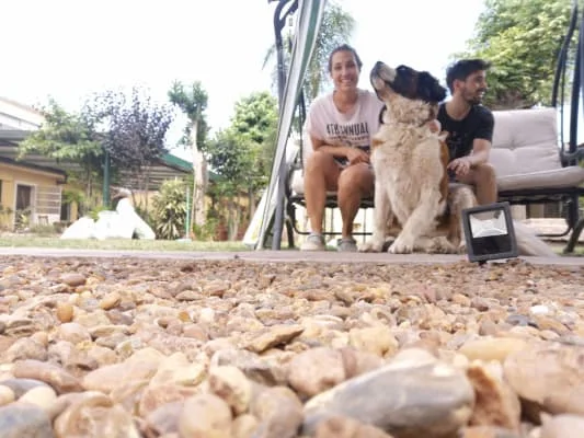 Sitter Profile Image: Carlos Andres & Mar 
