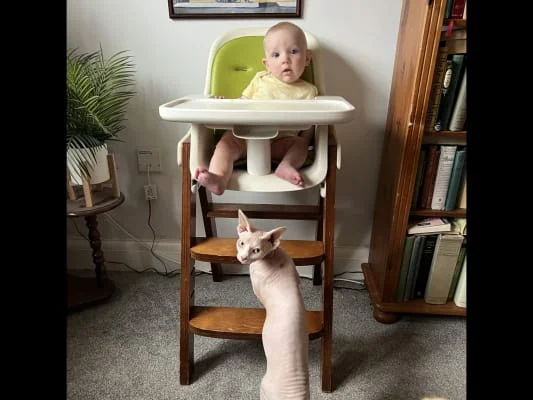 Sitter Profile Image: Bethany 