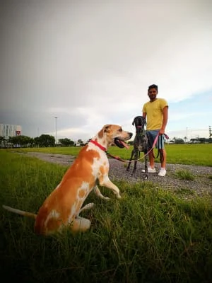 Sitter Profile Image: Agustin 