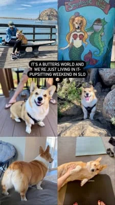 Sitter Profile Image: Catlin 