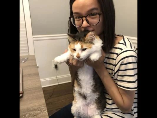 Sitter Profile Image: Xinbei 