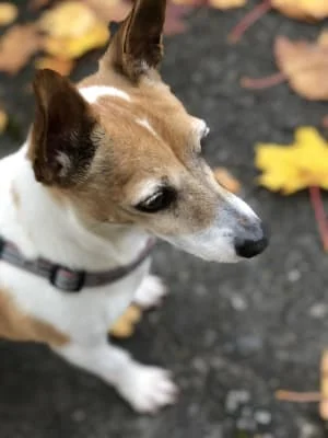 Sitter Profile Image: Myya 