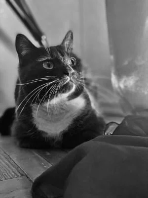 Sitter Profile Image: Mariia 