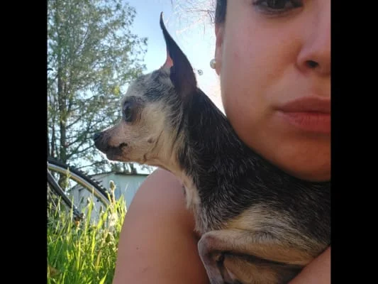 Sitter Profile Image: Candida 