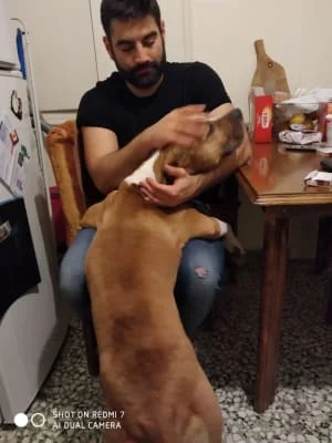 Sitter Profile Image: Panagiotis 