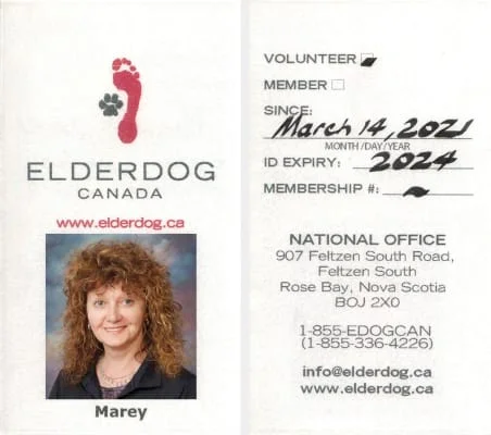 Sitter Profile Image: Marey 