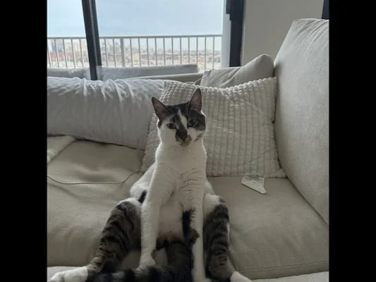 Sitter Profile Image: Olivia 