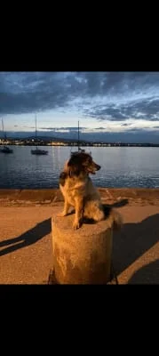 Sitter Profile Image: Susie 