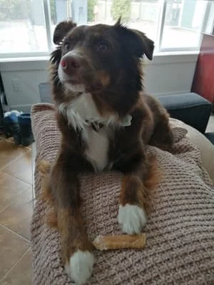Sitter Profile Image: Ruvina 