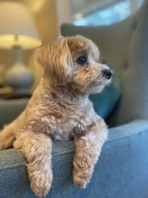 Sitter Profile Image: Brenda 