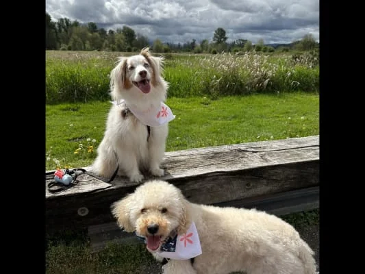 Sitter Profile Image: Yuri & Simon 