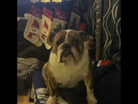 Sitter Profile Image: Reba 