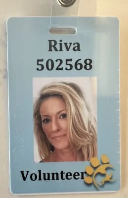 Sitter Profile Image: Riva 