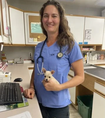 Sitter Profile Image: Dr. Stephenie 