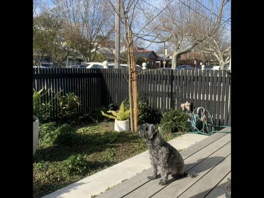 Sitter Profile Image: Maggie 