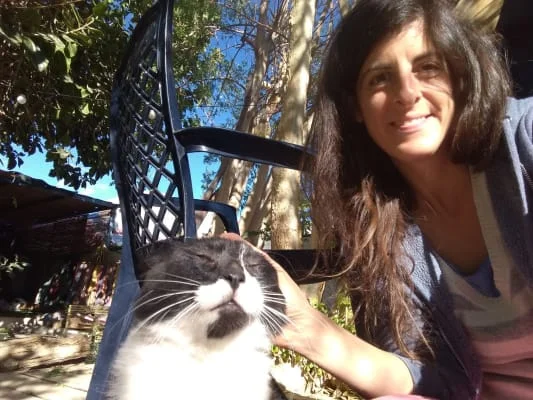 Sitter Profile Image: Rotem Shira 