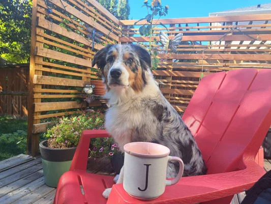 Sitter Profile Image: JADE 