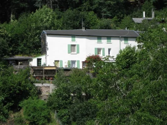 Owner Image