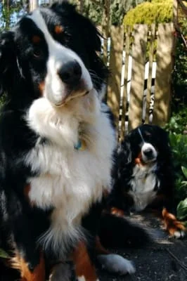 Sitter Profile Image: Mary & Earl 