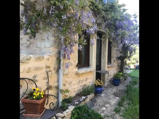 Owner Image
