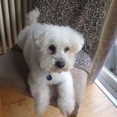 Sitter Profile Image: Garry 