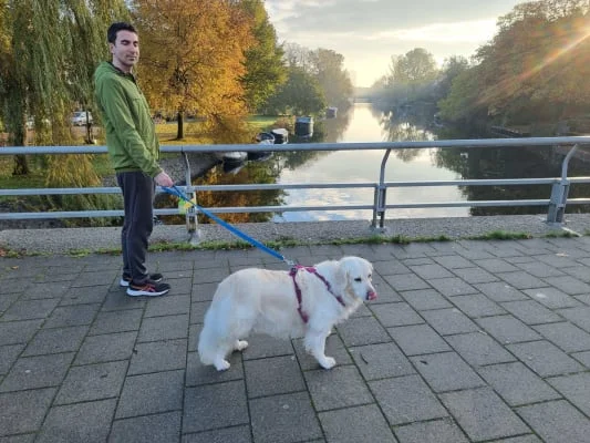 Sitter Profile Image: Karyo & Colin 